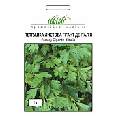 Петрушка листова Гігант де Італія 