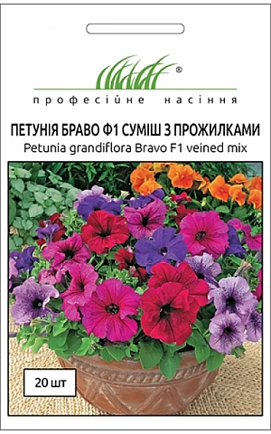 Петунія Браво F1 (Bravo F1) суміш з прожилками 