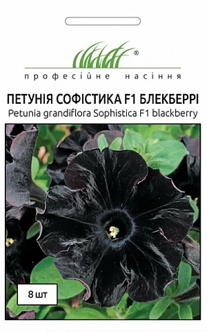 Петуния Софистика F1 (Sophistica F1) блекберри 
