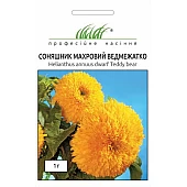 Подсолнух Медвежонок 