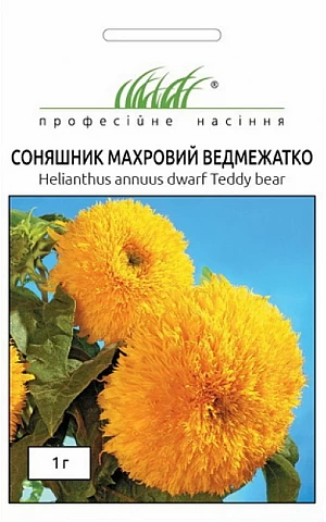 Подсолнух Медвежонок 