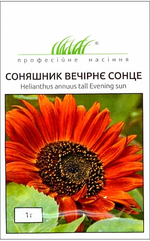Подсолнух Вечернее солнце 