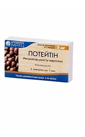 Потейтин