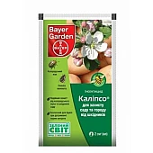Прованто Вернал (Калипсо к.с.)