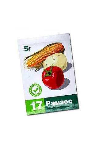 Рамзес