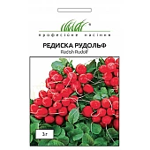 Редис Рудольф 