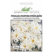 Ромашка Крейзи Дейзи белая 