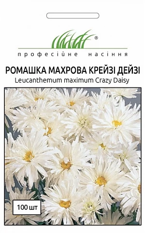 Ромашка Крейзи Дейзи белая 