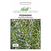Розмарин 