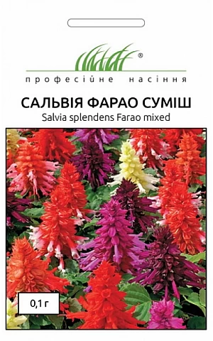 Сальвия Фарао смесь 