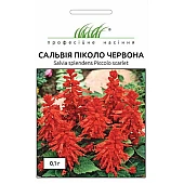Сальвия Пиколо красная 