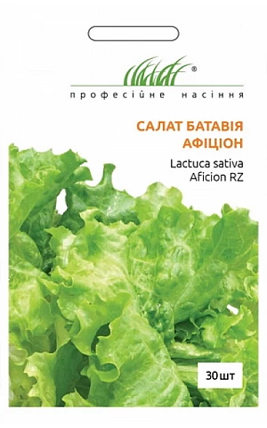 Салат Батавия Афицион (Aficion) 
