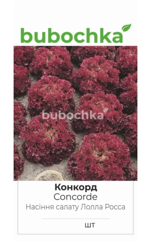 Салат Конкорд