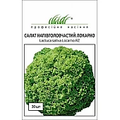 Салат Лолло Біондо Локарно (Locarno) 