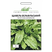 Щавель Бельвильский 