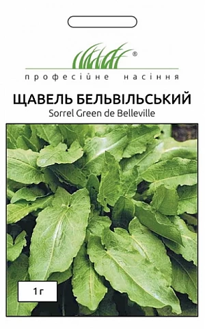 Щавель Бельвильский 