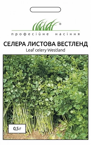Селера листова Вестленд 