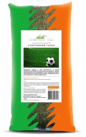 Спорт