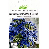 Статица Голубой Горизонт