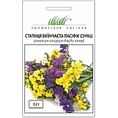 Статица Пасифик смесь