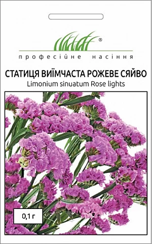 Статица Розовое сияние
