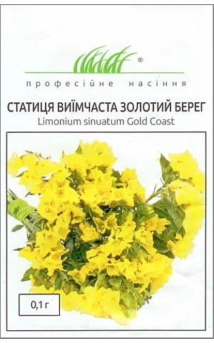 Статица Золотистый берег 
