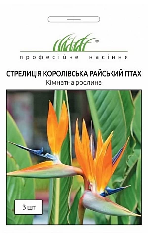 Стрелиция королевская Райская птица 