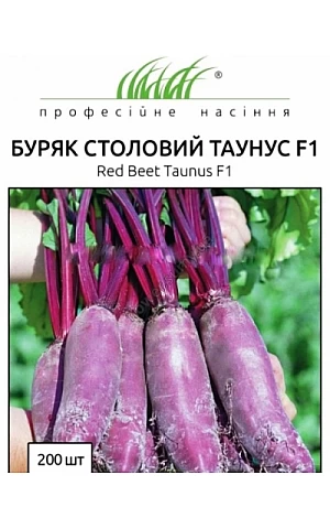 Свекла Таунус F1 