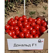 Томат Дональд  Nunhems