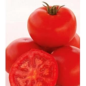 Томат Луанова  Enza.