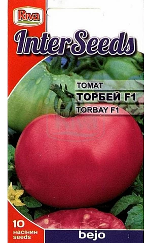 Томат Торбей F1 (Torbay F1)  Riva Trade