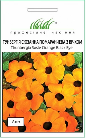 Тунбергия Сюзанна