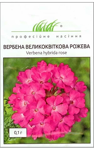 Вербена розовая 