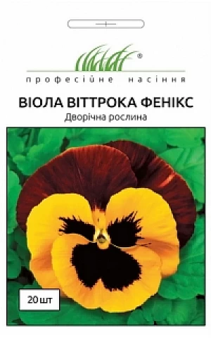 Віола віттрока Фенікс