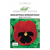 Віола віттрока Червоний Гранат