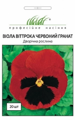 Віола віттрока Червоний Гранат