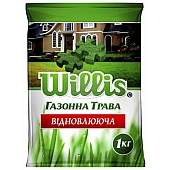 Willis Восстанавливающая