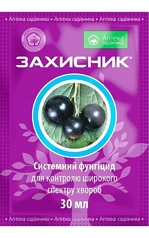 Захисник