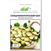 Суниця Ремонтантна Вайт Соул