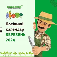 Посевной лунный календарь садовода на март 2024 года: таблица