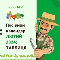 Посевной лунный календарь садовода на февраль 2024: таблица