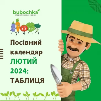 Посевной лунный календарь садовода на февраль 2024: таблица Посевной лунный календарь садовода на февраль 2024: таблица