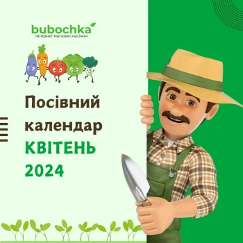 Посевной лунный календарь садовода на апрель 2024: таблица Посевной лунный календарь садовода на апрель 2024: таблица
