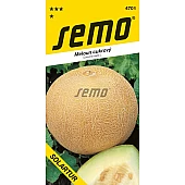 Дыня Солартур Semo (Чехия)