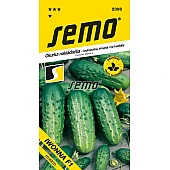 Огірок Івонна F1 Semo (Чехія)