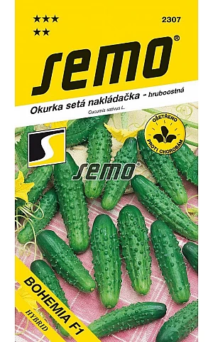 Огурец Богемия F1 Semo (Чехия)