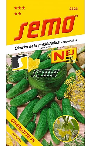Огурец Шарлотта F1 Semo (Чехия)