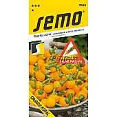 Перец Оранжевый Корал F1 Semo (Чехия)