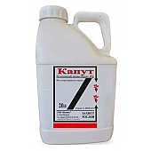 Капут РК