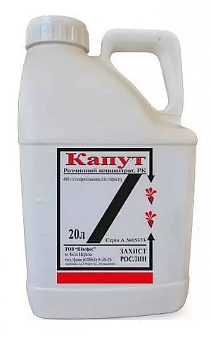 Капут РК